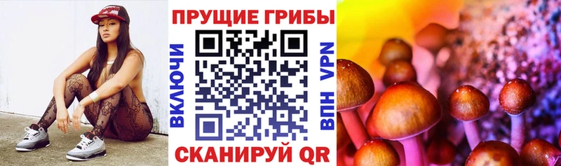 Псилоцибиновые грибы MAGIC MUSHROOMS  Чердынь 